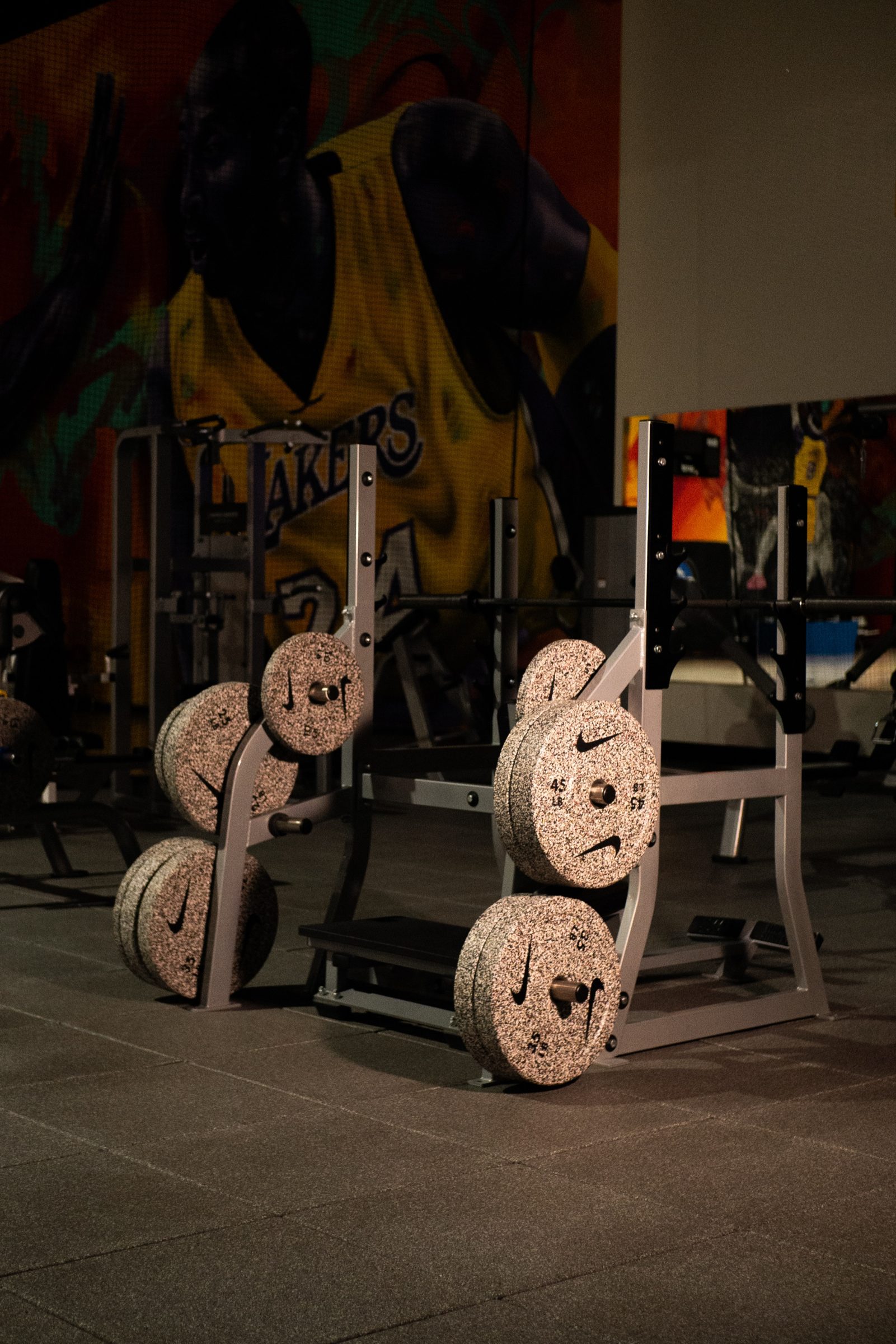 Weight room with plates and mural at JR Pro Lab